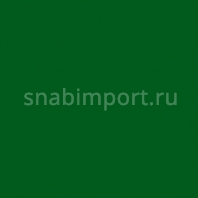Светофильтр Rosco E-Color+ 735 Velvet Green зеленый — купить в Москве в интернет-магазине Snabimport