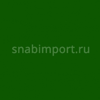 Светофильтр Rosco E-Color+ 736 Twickenham Green зеленый — купить в Москве в интернет-магазине Snabimport
