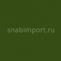 Светофильтр Rosco E-Color+ 740 Aurora Borealis Green зеленый — купить в Москве в интернет-магазине Snabimport