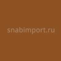 Светофильтр Rosco E-Color+ 742 Bram Brown коричневый — купить в Москве в интернет-магазине Snabimport