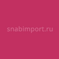 Светофильтр Rosco E-Color+ 748 Seedy Pink Красный — купить в Москве в интернет-магазине Snabimport