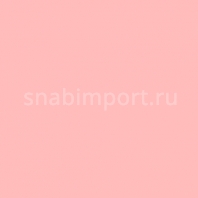 Светофильтр Rosco E-Color+ 749 Hanover Rose Красный — купить в Москве в интернет-магазине Snabimport