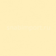 Светофильтр Rosco E-Color+ 763 Wheat Бежевый — купить в Москве в интернет-магазине Snabimport