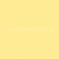 Светофильтр Rosco E-Color+ 764 Sun Colour Straw желтый — купить в Москве в интернет-магазине Snabimport