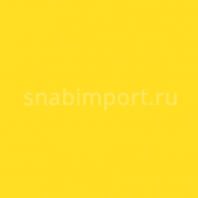 Светофильтр Rosco E-Color+ 767 Oklahoma Yellow желтый — купить в Москве в интернет-магазине Snabimport