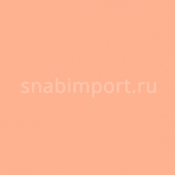Светофильтр Rosco E-Color+ 773 Cardbox Amber Красный — купить в Москве в интернет-магазине Snabimport