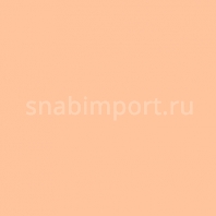 Светофильтр Rosco E-Color+ 774 Soft Amber Бежевый — купить в Москве в интернет-магазине Snabimport