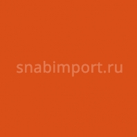 Светофильтр Rosco E-Color+ 777 Rust оранжевый — купить в Москве в интернет-магазине Snabimport