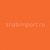 Светофильтр Rosco E-Color+ 779 Bastard Pink оранжевый — купить в Москве в интернет-магазине Snabimport