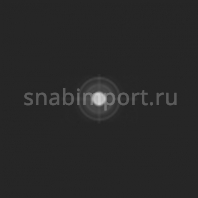 Светофильтр Rosco E-Color+ 215 Half Tough Spun чёрный — купить в Москве в интернет-магазине Snabimport