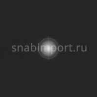 Светофильтр Rosco E-Color+ 251 Quarter White Diffusion чёрный — купить в Москве в интернет-магазине Snabimport