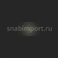 Светофильтр Rosco E-Color+ 402 Soft Frost чёрный — купить в Москве в интернет-магазине Snabimport