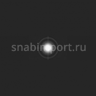 Светофильтр Rosco E-Color+ 420 Light Opal Frost чёрный — купить в Москве в интернет-магазине Snabimport