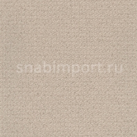 Виниловые обои Koroseal Esquire E521-25 Фиолетовый — купить в Москве в интернет-магазине Snabimport