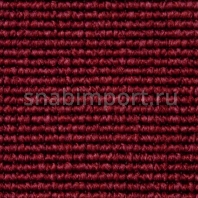 Ковровое покрытие Carpet Concept Eco 1 66124 Красный — купить в Москве в интернет-магазине Snabimport