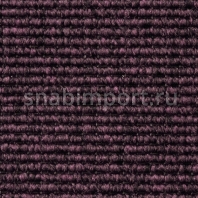 Ковровое покрытие Carpet Concept Eco 1 66127 Фиолетовый — купить в Москве в интернет-магазине Snabimport