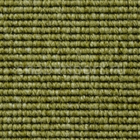 Ковровое покрытие Carpet Concept Eco 1 66134 зеленый — купить в Москве в интернет-магазине Snabimport
