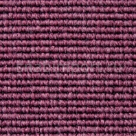 Ковровое покрытие Carpet Concept Eco 1 66163 Фиолетовый — купить в Москве в интернет-магазине Snabimport
