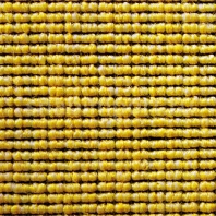 Ковровое покрытие Carpet Concept Eco 1 6621 желтый — купить в Москве в интернет-магазине Snabimport