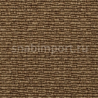 Ковровое покрытие Carpet Concept Eco Syn 7164 коричневый — купить в Москве в интернет-магазине Snabimport