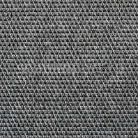 Ковровое покрытие Carpet Concept Eco Tec 0280008 52742 Серый