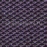 Ковровое покрытие Carpet Concept Eco Tre 681165 Фиолетовый — купить в Москве в интернет-магазине Snabimport