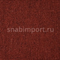 Ковровое покрытие Carpet Concept Eco Wool 595024 Красный — купить в Москве в интернет-магазине Snabimport