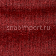 Ковровое покрытие Carpet Concept Eco Wool 595027 Красный — купить в Москве в интернет-магазине Snabimport