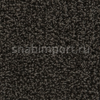 Ковровая плитка Edel Oslo tile 189 коричневый — купить в Москве в интернет-магазине Snabimport
