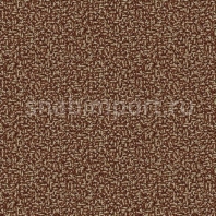 Ковровое покрытие Ege Metropolitan RF5295594 коричневый — купить в Москве в интернет-магазине Snabimport