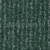 Ковровое покрытие Ege Texture Care Linear 679380 зеленый — купить в Москве в интернет-магазине Snabimport