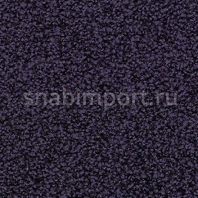 Ковровое покрытие Vorwerk ELARA 3L72 фиолетовый — купить в Москве в интернет-магазине Snabimport