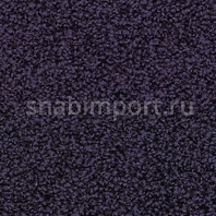 Ковровая плитка Vorwerk ELARA SL 3L72 фиолетовый — купить в Москве в интернет-магазине Snabimport
