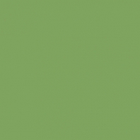 Краска Oikos Фасадная линия ELASTRONG VENEZIA FINE Elas-fine-CP4350 зеленый — купить в Москве в интернет-магазине Snabimport