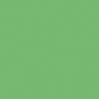 Краска Oikos Фасадная линия ELASTRONG VENEZIA FINE Elas-fine-CP4370 зеленый — купить в Москве в интернет-магазине Snabimport