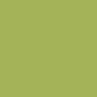 Краска Oikos Фасадная линия ELASTRONG VENEZIA FINE Elas-fine-CP4500 зеленый — купить в Москве в интернет-магазине Snabimport