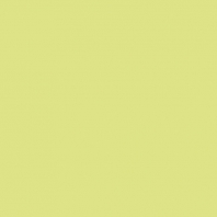 Краска Oikos Фасадная линия ELASTRONG VENEZIA FINE Elas-fine-CP4520 зеленый — купить в Москве в интернет-магазине Snabimport