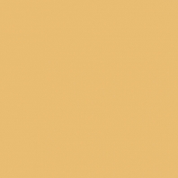 Краска Oikos Фасадная линия ELASTRONG VENEZIA FINE Elas-fine-CP4690 желтый — купить в Москве в интернет-магазине Snabimport