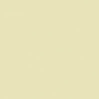 Краска Oikos Фасадная линия ELASTRONG VENEZIA FINE Elas-fine-CP4790 желтый — купить в Москве в интернет-магазине Snabimport