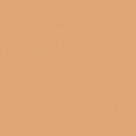 Краска Oikos Фасадная линия ELASTRONG VENEZIA FINE Elas-fine-CP4820 коричневый — купить в Москве в интернет-магазине Snabimport