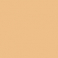 Краска Oikos Фасадная линия ELASTRONG VENEZIA FINE Elas-fine-CP4830 коричневый — купить в Москве в интернет-магазине Snabimport