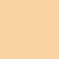 Краска Oikos Фасадная линия ELASTRONG VENEZIA FINE Elas-fine-CP4870 желтый — купить в Москве в интернет-магазине Snabimport