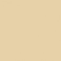 Краска Oikos Фасадная линия ELASTRONG VENEZIA FINE Elas-fine-CP4930 коричневый — купить в Москве в интернет-магазине Snabimport