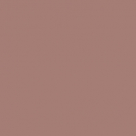 Краска Oikos Фасадная линия ELASTRONG VENEZIA FINE Elas-fine-CP5050 коричневый — купить в Москве в интернет-магазине Snabimport