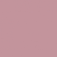 Краска Oikos Фасадная линия ELASTRONG VENEZIA FINE Elas-fine-CP5150 Фиолетовый — купить в Москве в интернет-магазине Snabimport