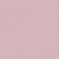 Краска Oikos Фасадная линия ELASTRONG VENEZIA FINE Elas-fine-CP5160 Фиолетовый — купить в Москве в интернет-магазине Snabimport