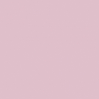 Краска Oikos Фасадная линия ELASTRONG VENEZIA FINE Elas-fine-CP5230 Фиолетовый — купить в Москве в интернет-магазине Snabimport