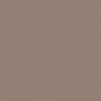 Краска Oikos Фасадная линия ELASTRONG VENEZIA FINE Elas-fine-CP5310 коричневый — купить в Москве в интернет-магазине Snabimport