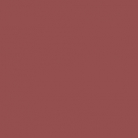 Краска Oikos Фасадная линия ELASTRONG VENEZIA FINE Elas-fine-CP5410 коричневый — купить в Москве в интернет-магазине Snabimport
