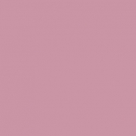 Краска Oikos Фасадная линия ELASTRONG VENEZIA FINE Elas-fine-CP5490 Фиолетовый — купить в Москве в интернет-магазине Snabimport